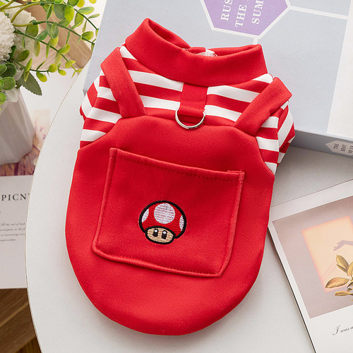 条纹小型猫咪泰迪比熊宠物衣服