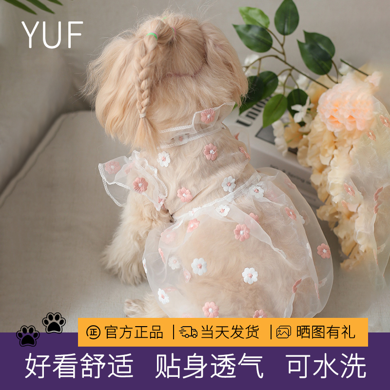 小型犬狗狗刺绣公主裙礼服猫咪