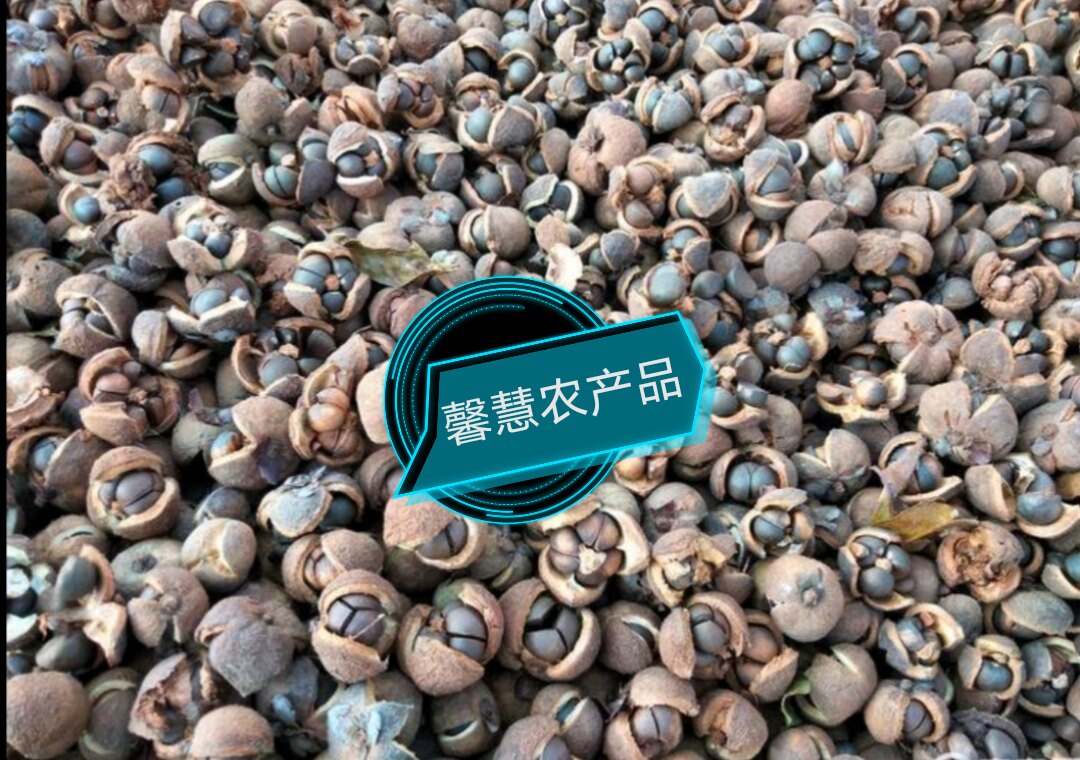 红花山茶花果山茶油原料有鲜果干特色干货及养生干料