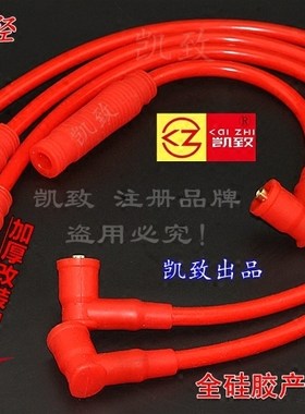 派力奥西耶那周末风1.38V高压线
