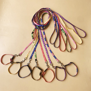 狗狗牵引绳小体型犬奶狗博美脖圈狗绳吉娃娃茶杯犬约克夏幼犬狗链