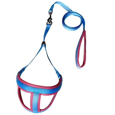 彩色透气网宠物牵引绳