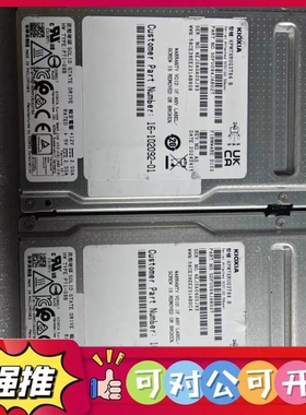 （议价）铠侠 KIOXIA KPM7XRUG3T84 3.84TB