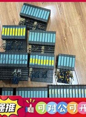 （议价）6ES7 132-4BD02-0AA0 32片 6ES7 1