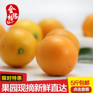 广西融安金桔新鲜水果脆皮甜心金桔 滑皮金橘2500g包邮