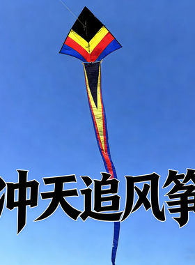 冲天追风筝成人专用高档中大型风筝专业级长尾好飞易飞初学者新手