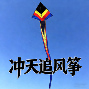 冲天追风筝成人专用高档中大型风筝专业级长尾好飞易飞初学者新手
