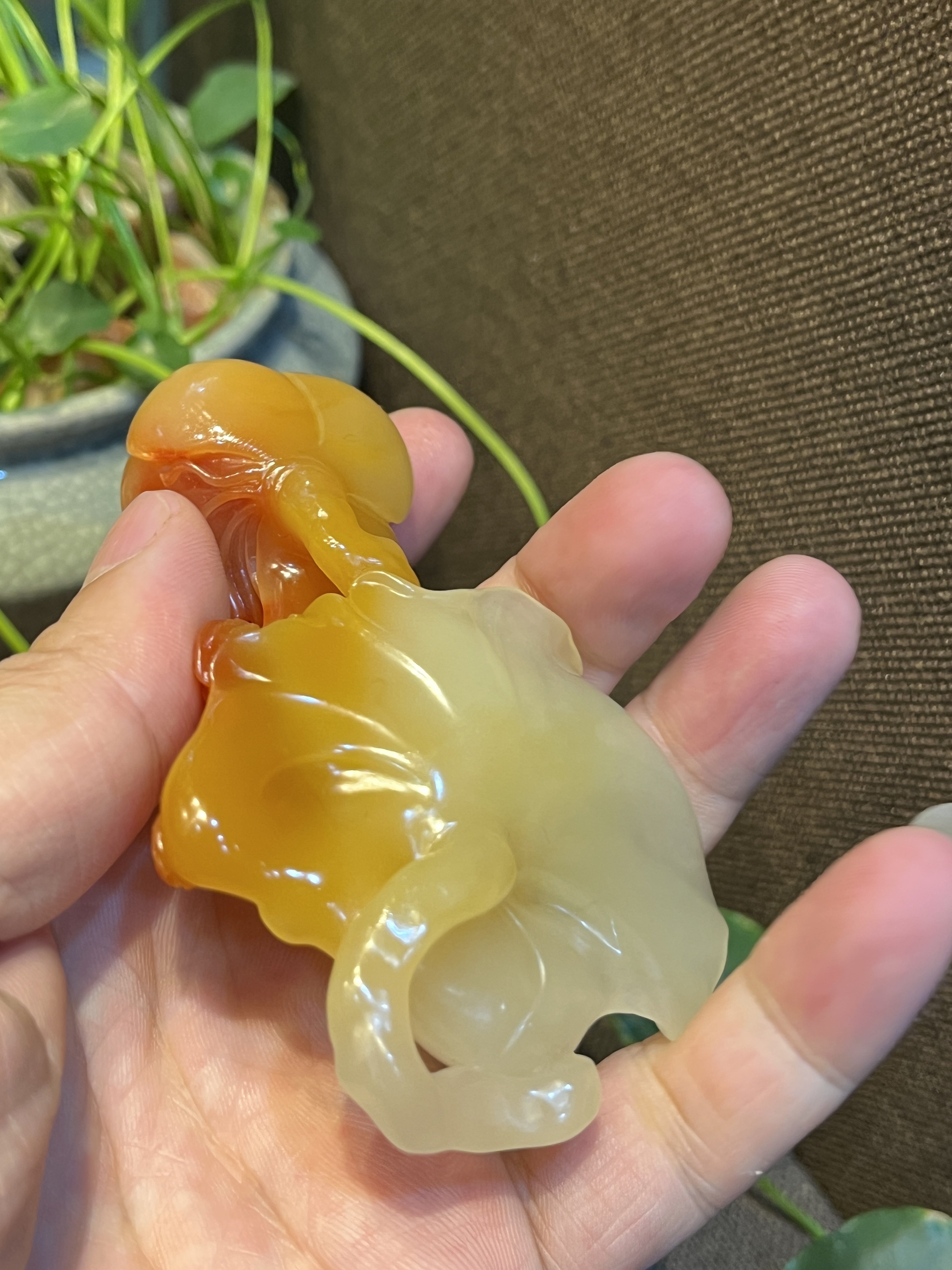 结晶芙蓉石水晶冻石高冰高透原石红黄渐变玉化程度高