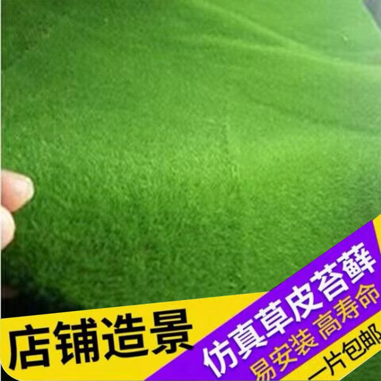 植毛石皮 仿真青苔草坪 青苔石 长草 植物苔藓 仿真植物墙景草坪