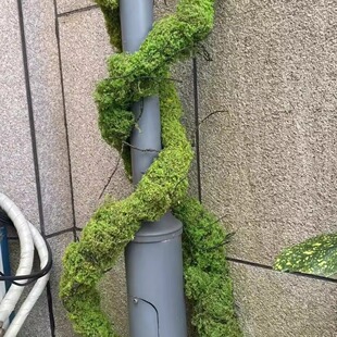仿真枯藤青苔苔藓树皮手工园林装饰布景橱窗热带雨林植物软装装饰