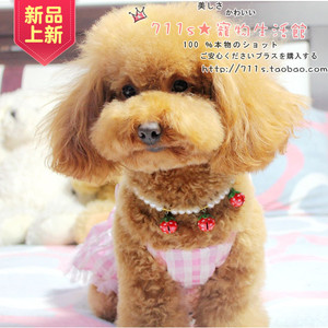 宠物项链 草莓铃铛珍珠款项链 狗狗项链 泰迪项链 铃铛项链项圈