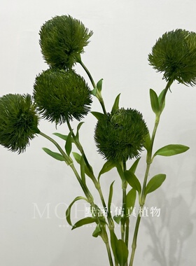 默涵仿真绿毛球手感植物插花配材