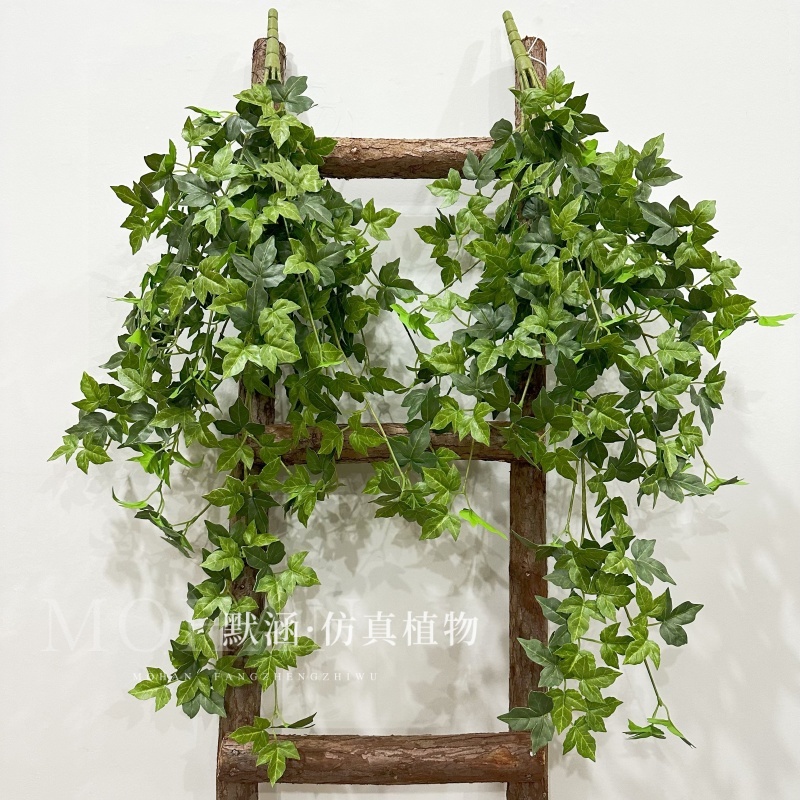 高端手感植物室外装饰常青藤