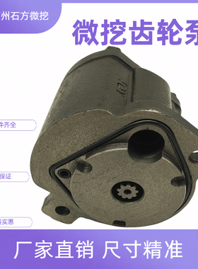 挖掘机配件洋马VIO15 20齿轮泵 力士乐AP2D9液压泵尾泵先导泵总成