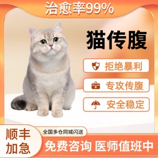 猫传腹针剂干湿性腹膜炎喵咪传腹油剂水剂抑制针剂口服片剂营养液