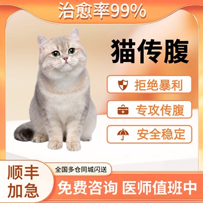 猫传腹专攻7年老店多仓同城