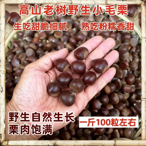 正宗山东板栗生新鲜2025年栗子带壳沂蒙山野生小板栗油栗鲜板栗