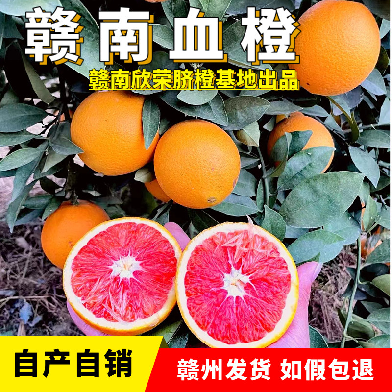 正宗江西赣南血橙新鲜橙子安远血橙褚橙榨汁孕妇农家现摘10斤包邮