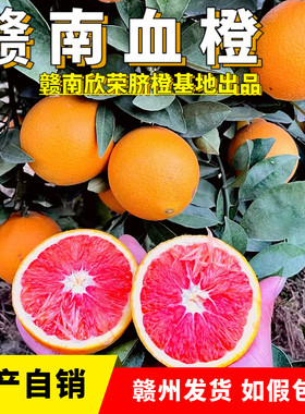 卖赣南脐橙8年赣州原产地发血橙