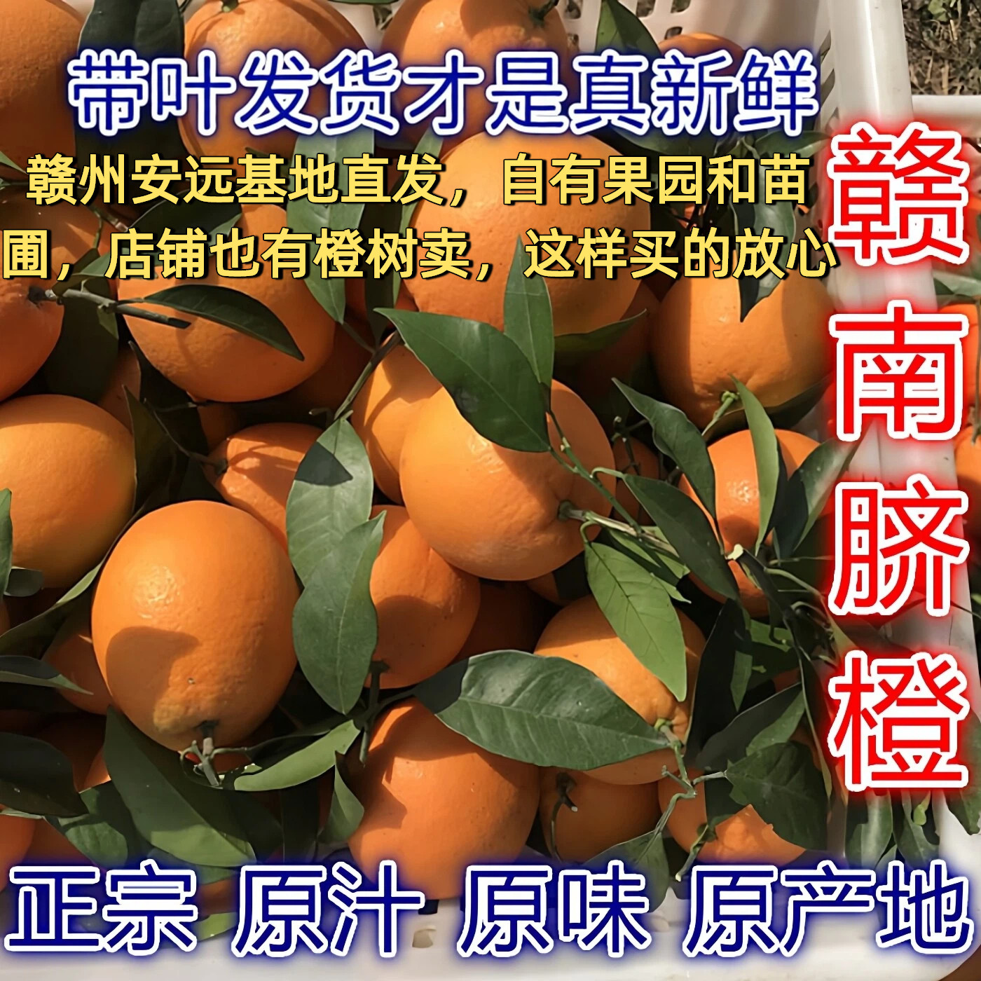 正宗江西赣南脐橙赣州安远甜橙子孕妇新鲜水果手剥橙20斤装大10斤,水产肉类/新鲜蔬果/熟食,橙,淘宝优惠券,粉丝福利购,淘宝优惠卷