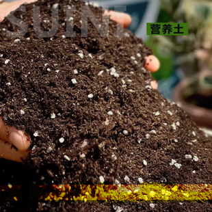 块根植物龙舌兰绿植专用发根土培养土仁王冠沙生植物营养土包邮