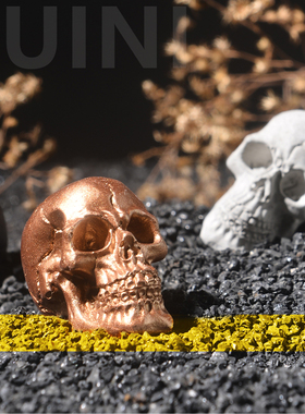 随泥网红ins个性创意园艺摆件万圣节仿真装饰小骷髅头花盆铺面石