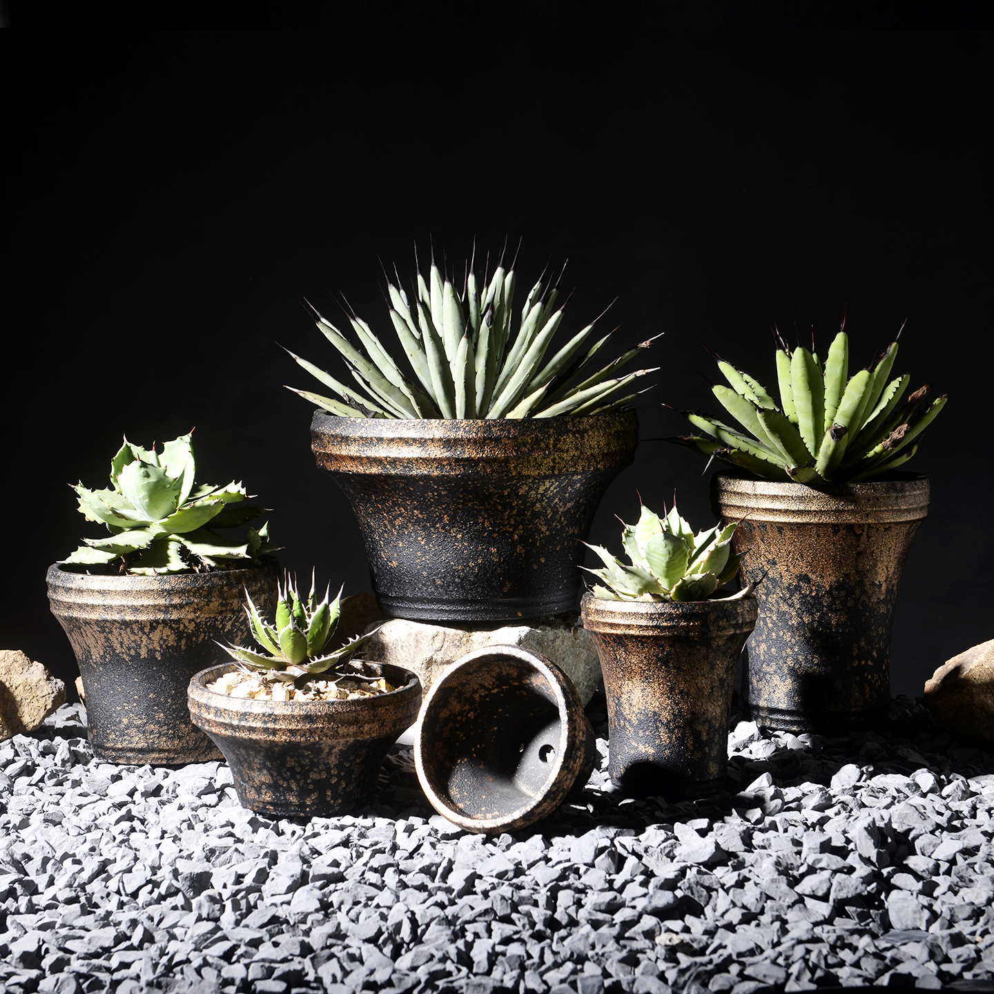 藤原浩潮流块根植物手工花盆有孔