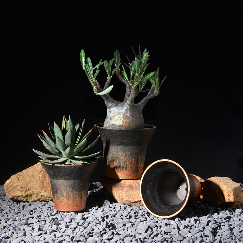 块根透气潮流个性黑金花盆
