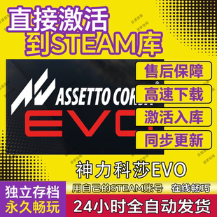 pc全球 入库永久 神力科莎EVO电脑游戏steam游戏cdkey激活码 兑换码