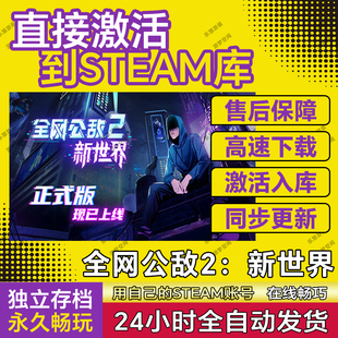 全网公敌2新世界steam游戏cdkey激活码电脑游戏兑换码永久 pc全球