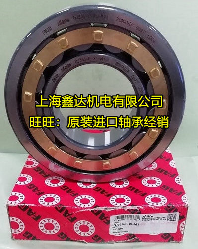 进口轴承 德国FAG轴承 NJ224E-M1 圆柱滚子轴承 NJ224-E-XL-M1-C3