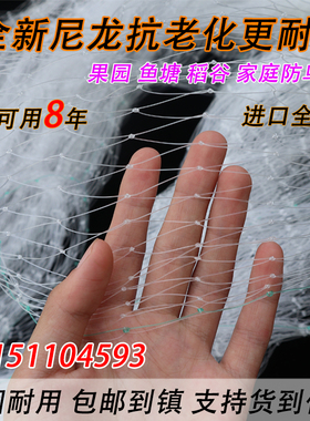 尼龙防鸟网白色农业果园果树天网葡萄鱼塘樱桃树枸杞农田防鸟用网