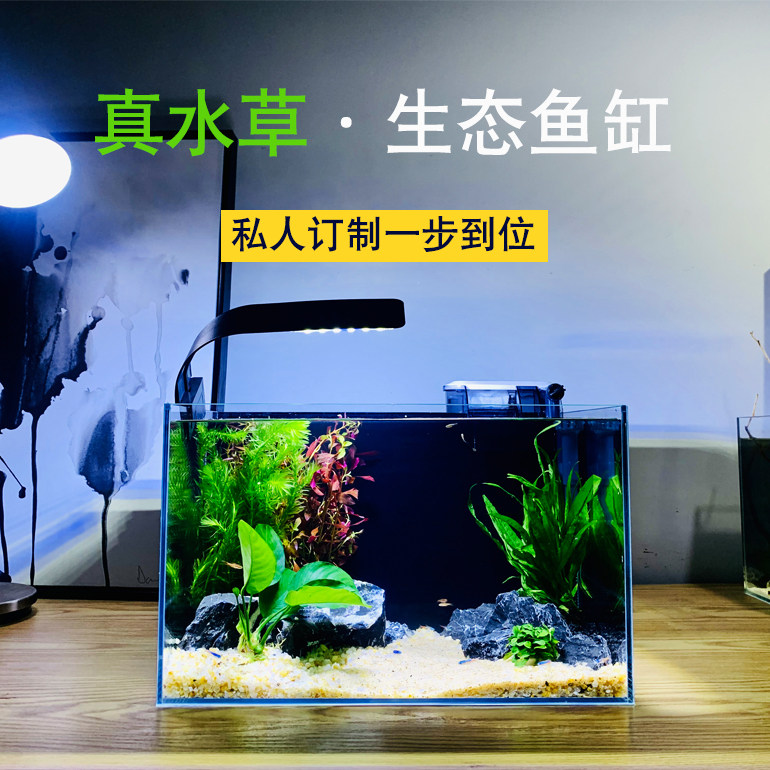 桌面超白全套鱼缸生态水草免换水