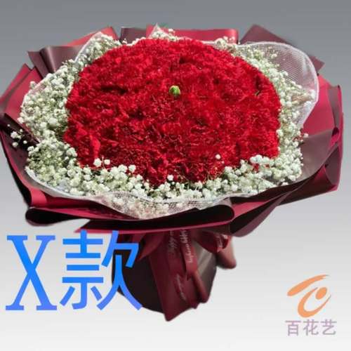生日祝福祝寿康乃馨天津花店送花红桥区塘沽区汉沽区同城鲜花快递
