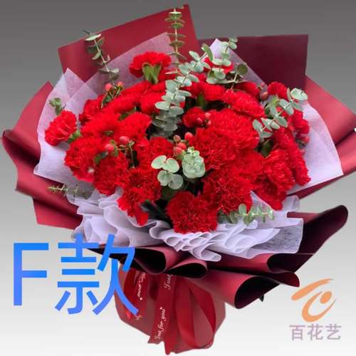 生日探望康乃馨江苏徐州花店送花铜山县睢宁县新沂市同城鲜花速递