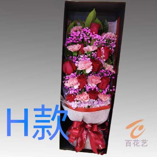 生日康乃馨河北石家庄订花店送花无极县平山县元氏县同城鲜花速递