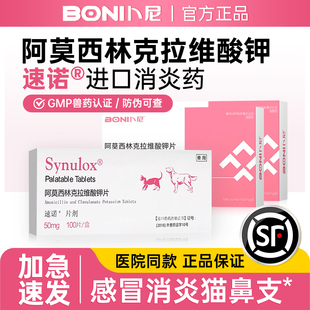 卜尼阿莫西林克拉维酸钾片宠物用猫咪感冒消炎药打喷嚏多西环素片