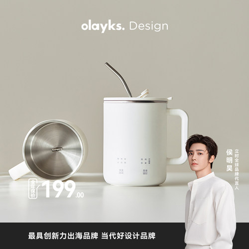olayks小型养生壶煮茶炖煮一体