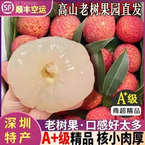 深圳南山白糖罂荔枝新鲜妃子笑