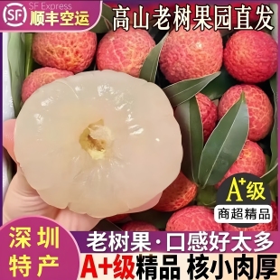 正宗深圳南山糯米糍荔枝新鲜现摘现发水果当季老树大果礼盒空运