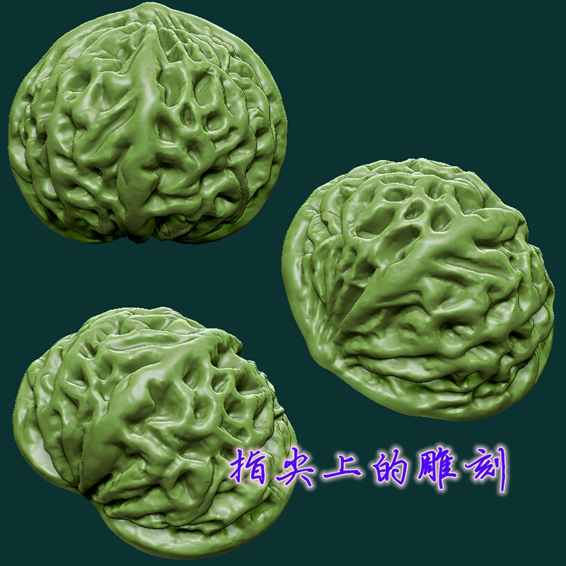 半个核桃剖面  圆雕图三维图STL雕刻素材3D打印立体图精雕