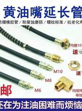 M6M8M10加长黄油油嘴延长管充气接头连接软管固定黄油延长管高压