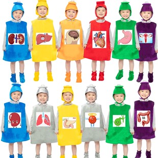 胃和肝体检角色表演服装胃肾心脏大肠脑肺脏肝脏脾胆胰腺演出服装