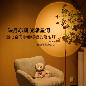 新特丽星座落地灯沙发角氛围客厅高级感轻奢阅读卧室立式床头角落