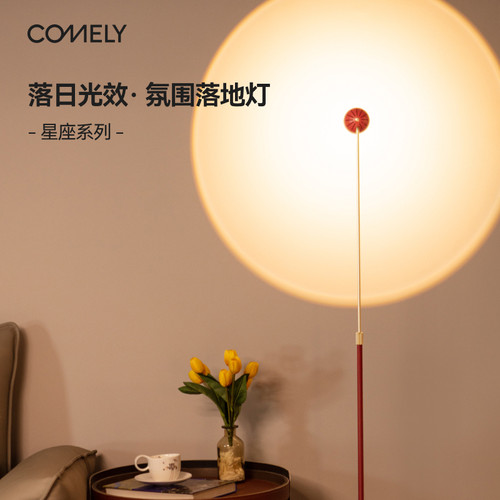 新特丽星座落地灯氛围沙发边