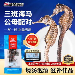 康美三斑海马干货公母配对一公一母中药材店铺泡酒煲汤料中药饮片