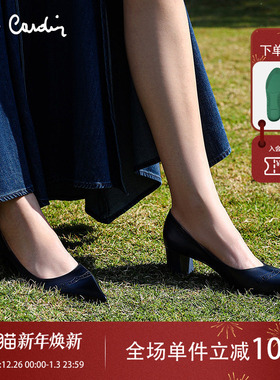 Pierre Cardin/皮尔卡丹25女鞋摩登复古擦色高跟鞋粗跟单鞋真皮