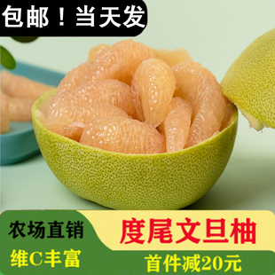 10斤礼盒礼品网袋正宗莆田文旦柚福建新鲜水果柚子老树果子精品果