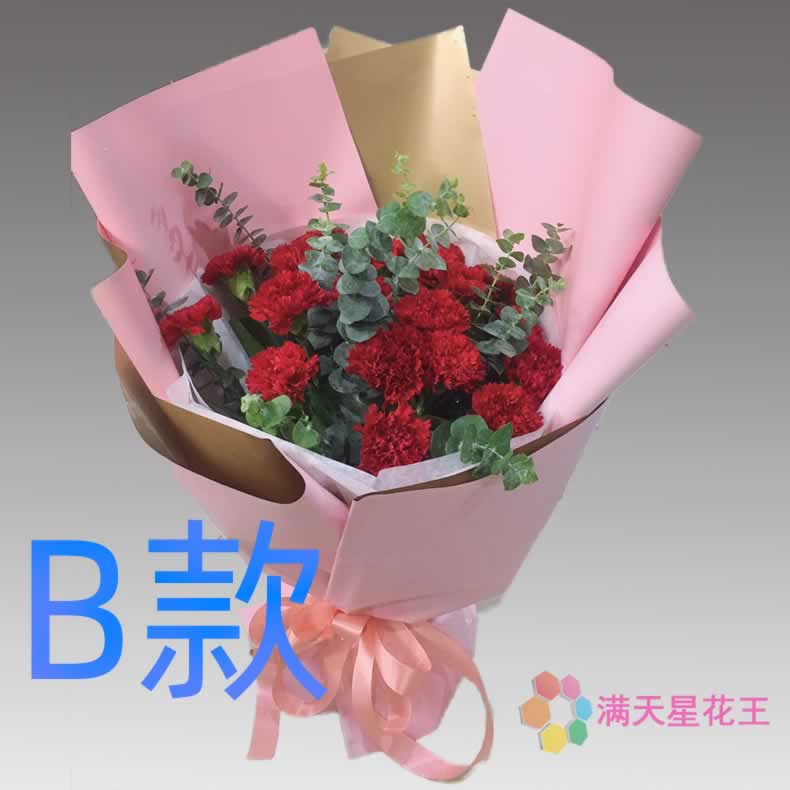 生日祝寿康乃馨河南信阳订花店送花潢川县淮滨县息县同城鲜花快递