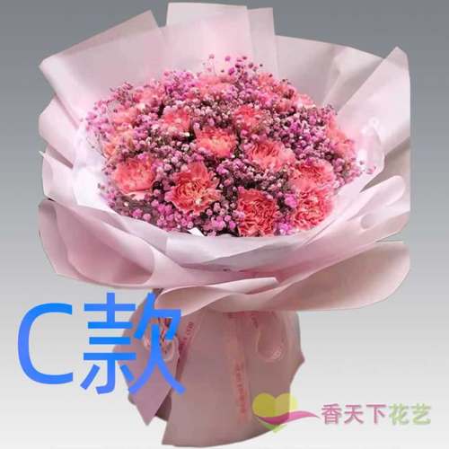 生日周年康乃馨江西吉安花店送花吉水县峡江县新干县同城鲜花快递